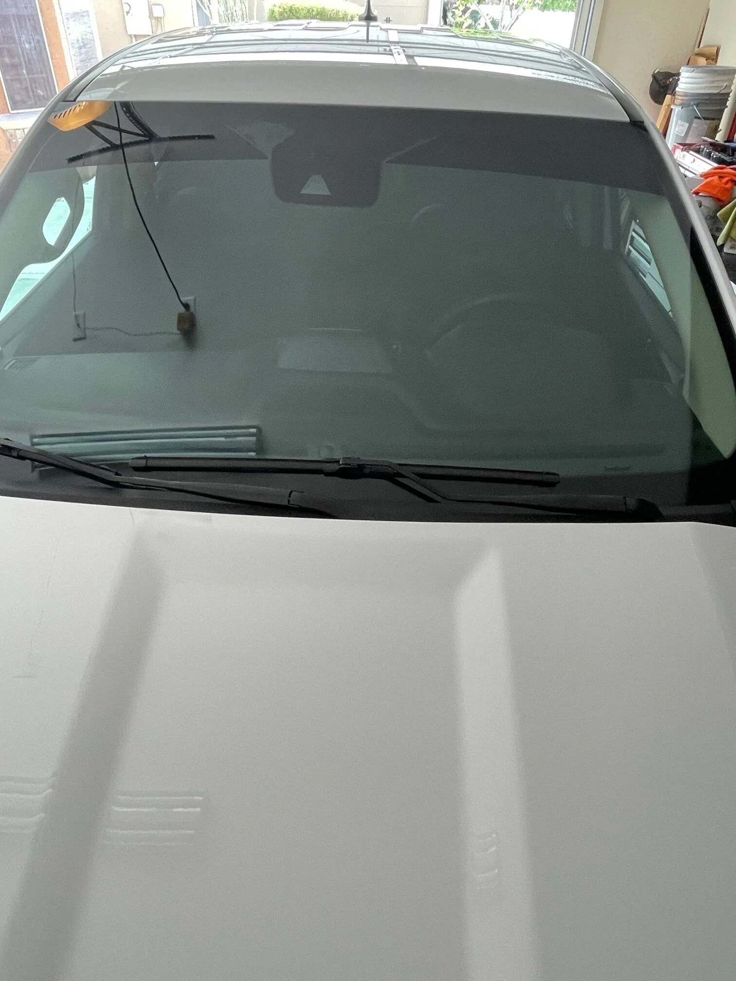 IMG_8753.jpg