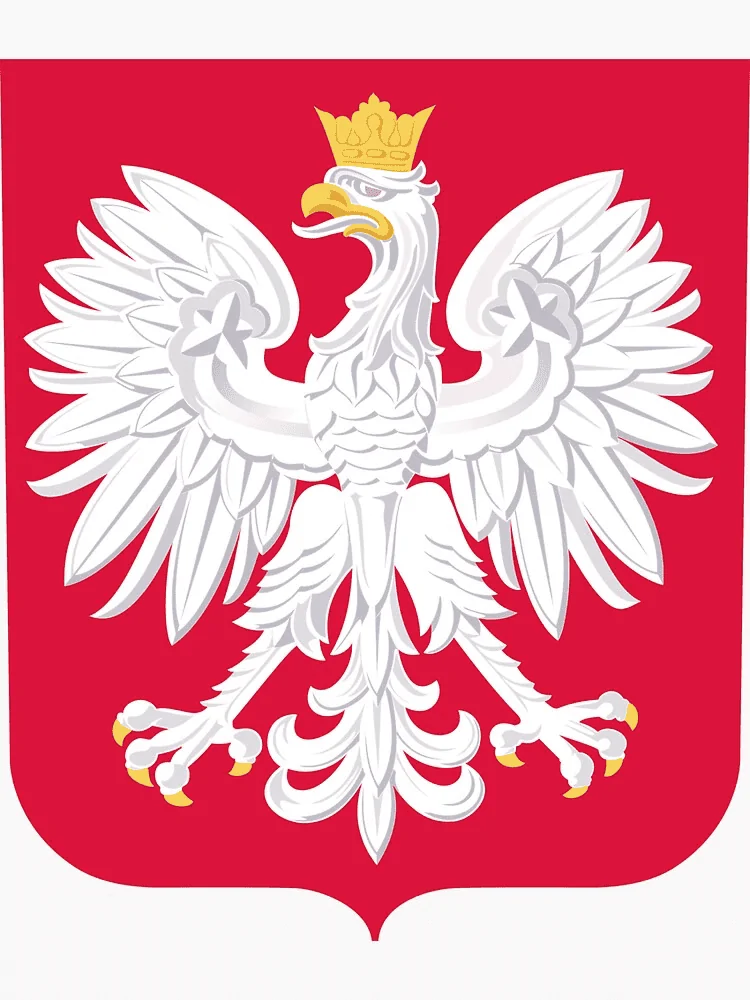 1685025019824.webp