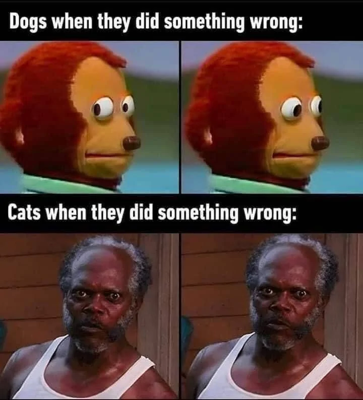Something Wrong.webp
