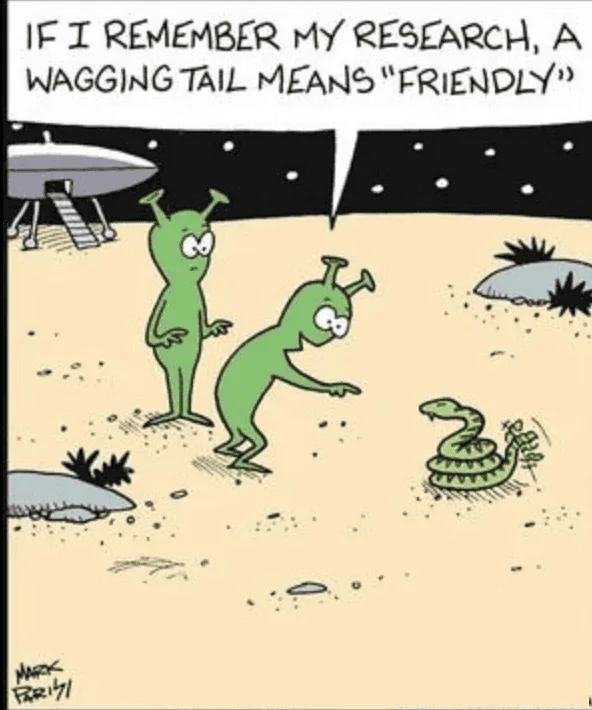 Friendly.webp