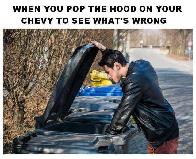 5a77abcf5a69e.jpg