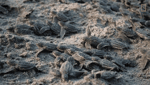 1685544481261.gif