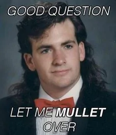 mullet.webp