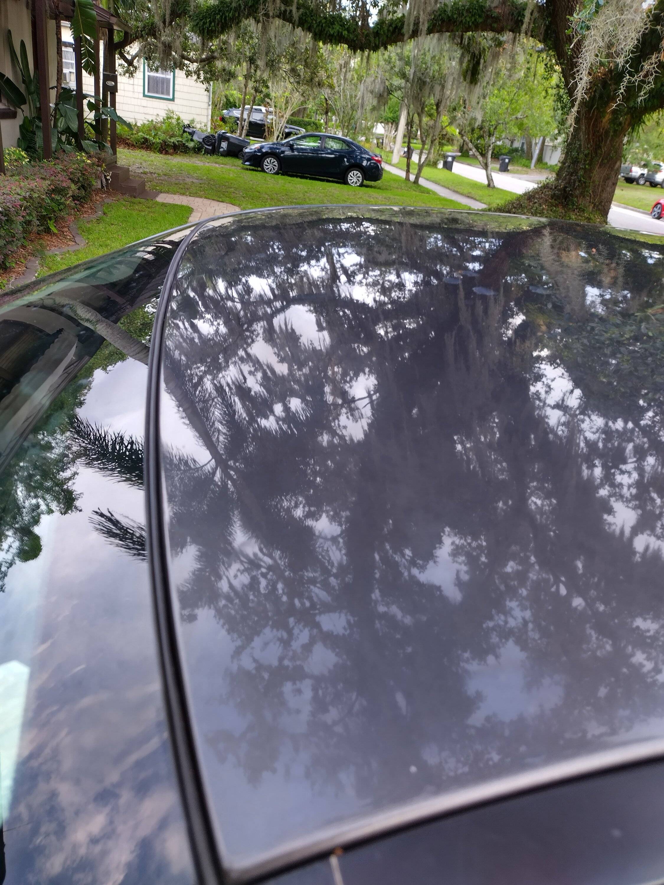 IMG_20230604_193618_HDR.jpg