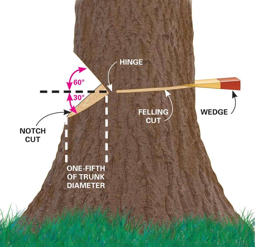 anpub.com%2FTFH%2FStep-By-Step%2FFH12OCT_FELING_08.jpg