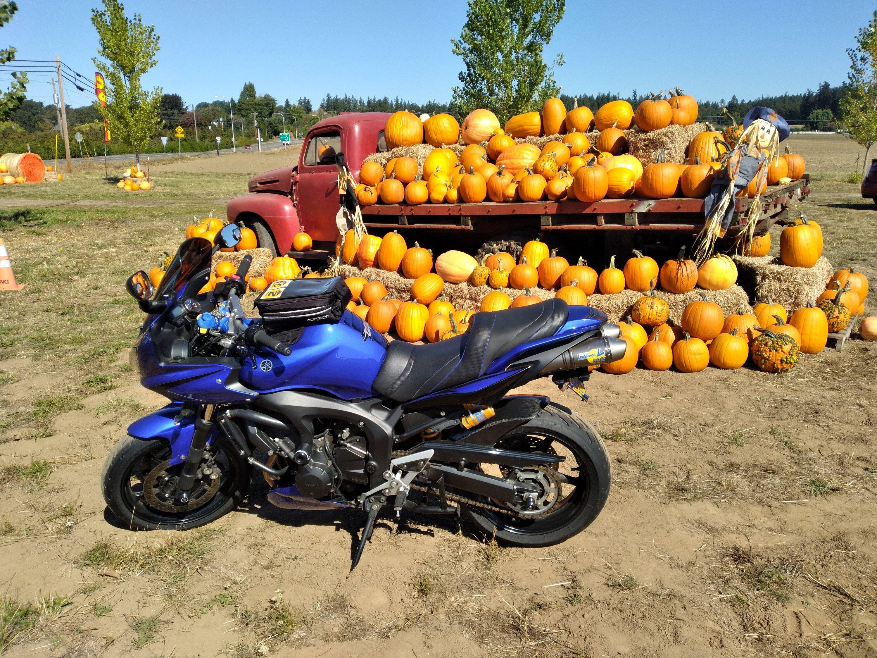 FZ 6.jpg