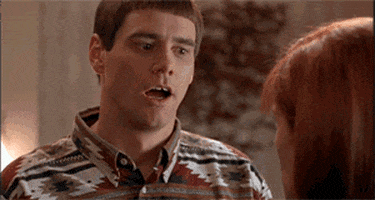 1685978344674.gif