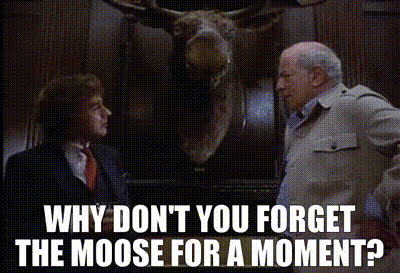 Forget The Moose.gif