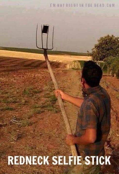 1686065639184.jpeg