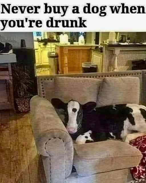 E02B3527-6992-4AB3-8395-A2932DCBEF5A.jpeg