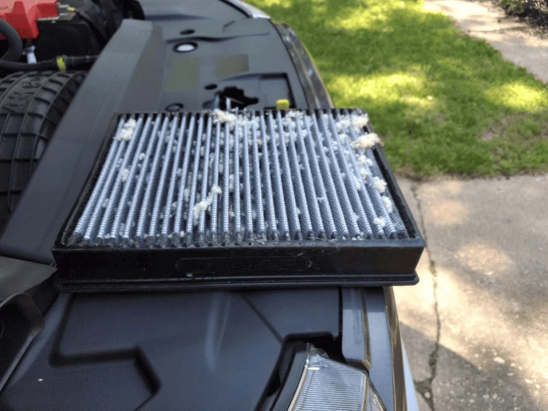 1686163476396.png