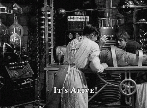 CC9FECA1-98AB-4351-8A34-D624C61EA07C.gif