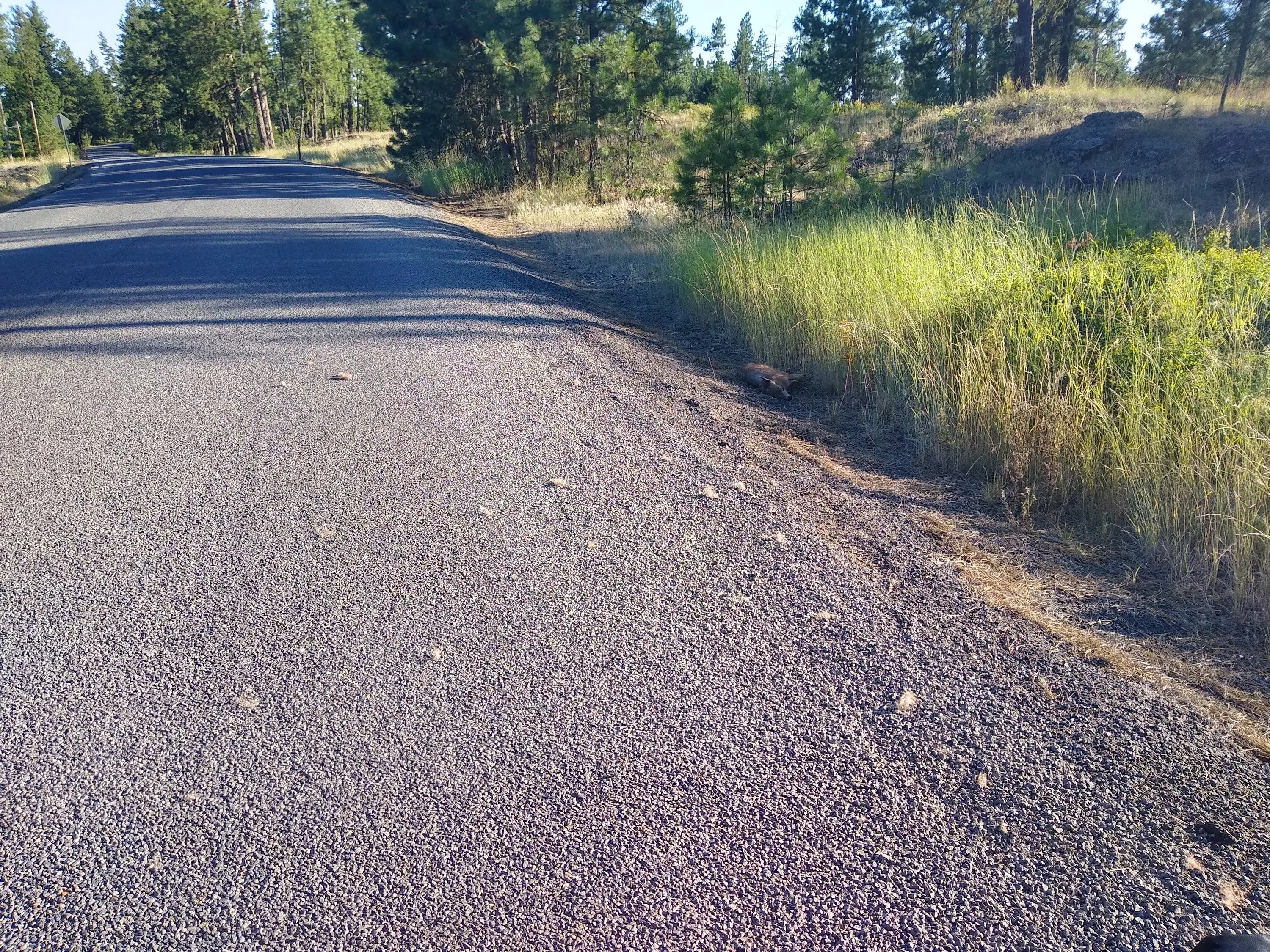 IMG_20200725_183522954_HDR.webp