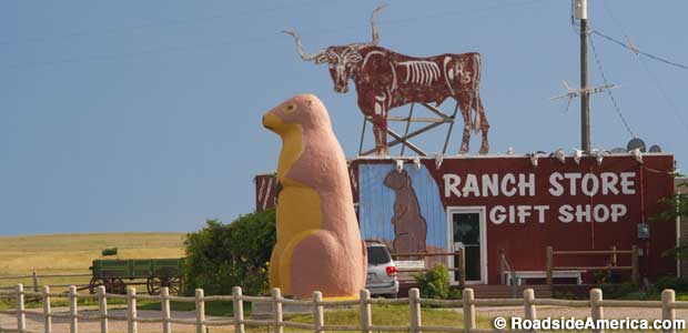 SDCACprairiedog_9323_620x300.jpg
