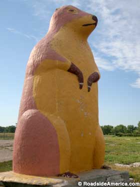 SDCACprairiedog_9558ks.jpg