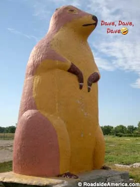 SDCACprairiedog_9558ks.webp