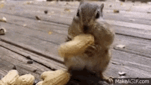 36F64D0E-97B1-4AA8-B150-CF3F923BBDED.gif