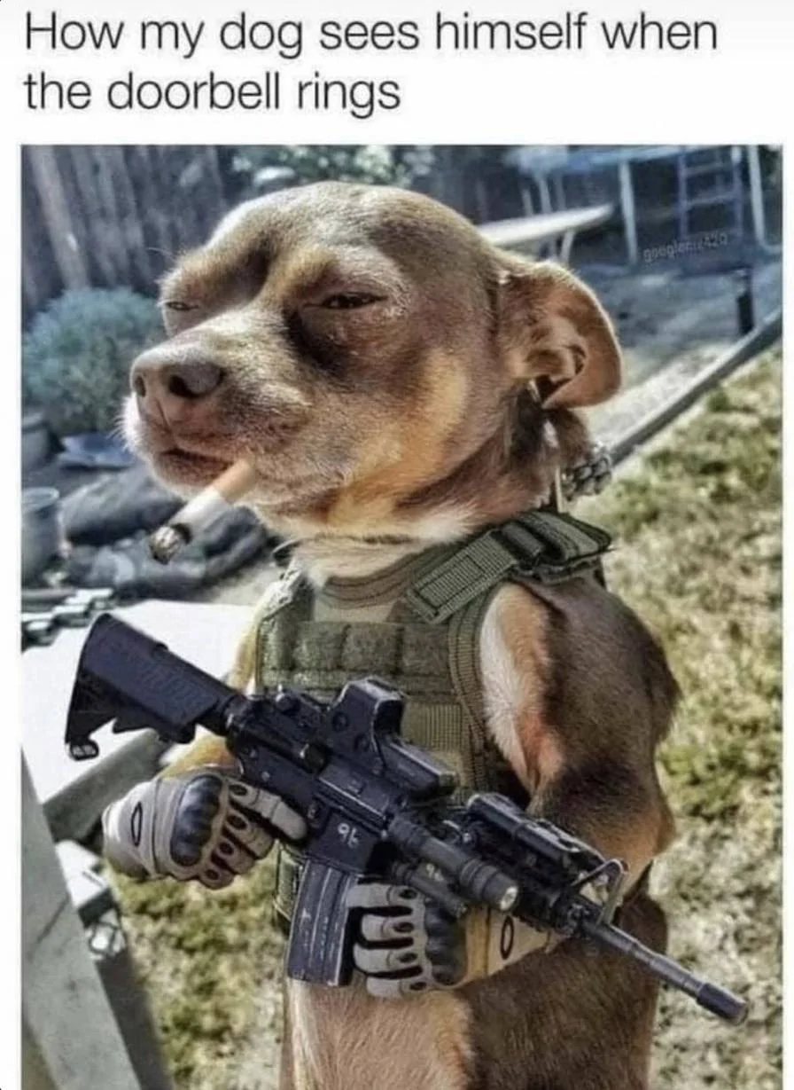 Watchdog.webp