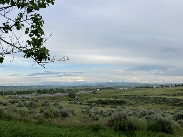 IMG_0036.jpeg