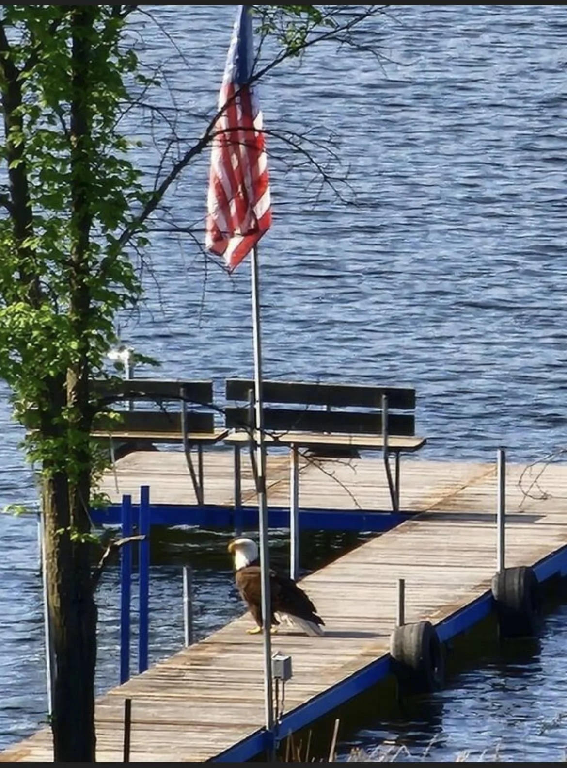 IMG_0128.webp