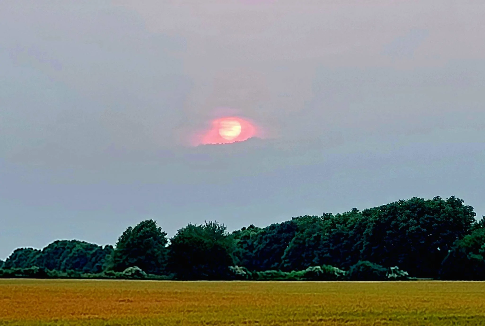 20230615_204639.webp