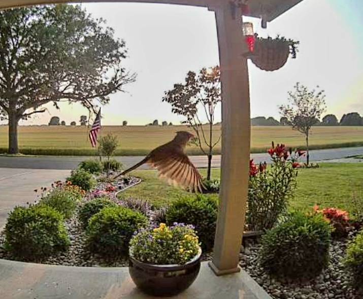 Screenshot_20230616_210554_eufy Security.jpg