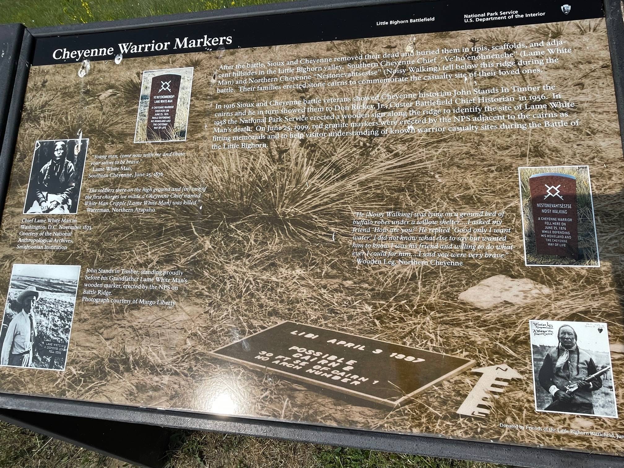 IMG_9547.jpg