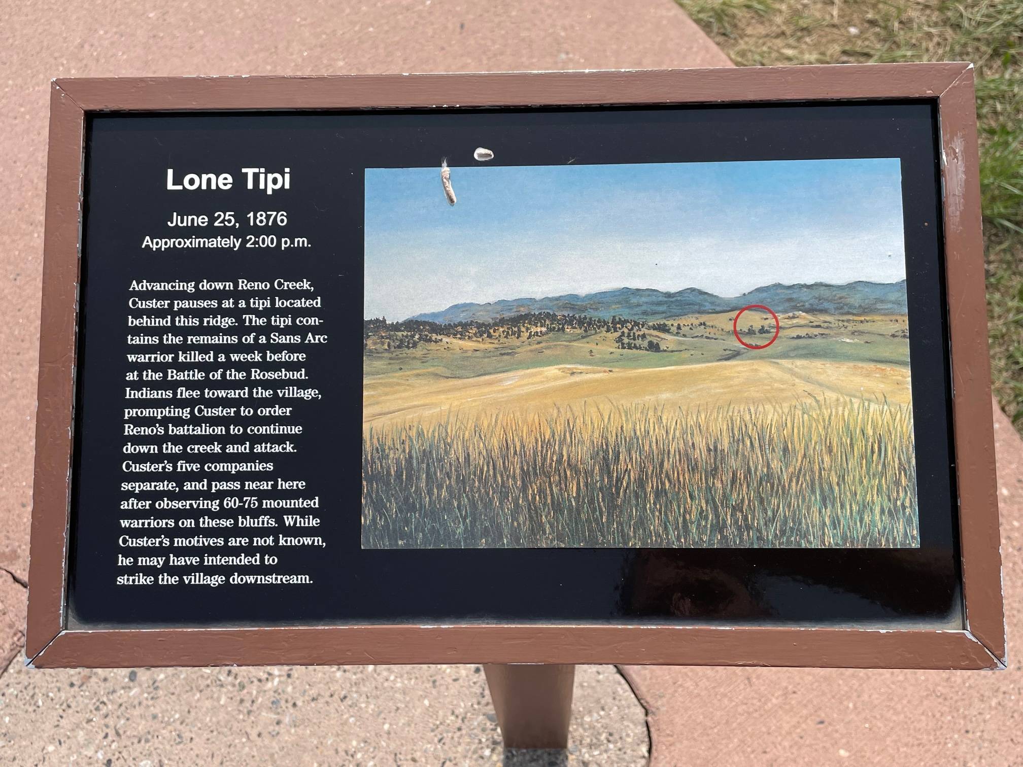 IMG_9574.jpg