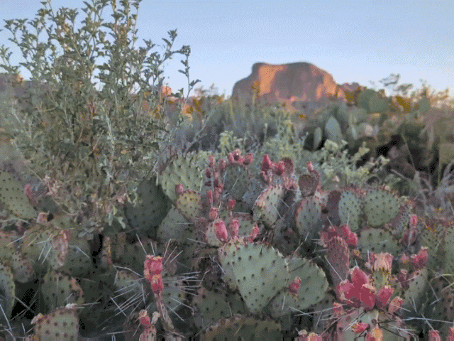 PXL_20230612_014014510_exported_stabilized_1686800513345.gif