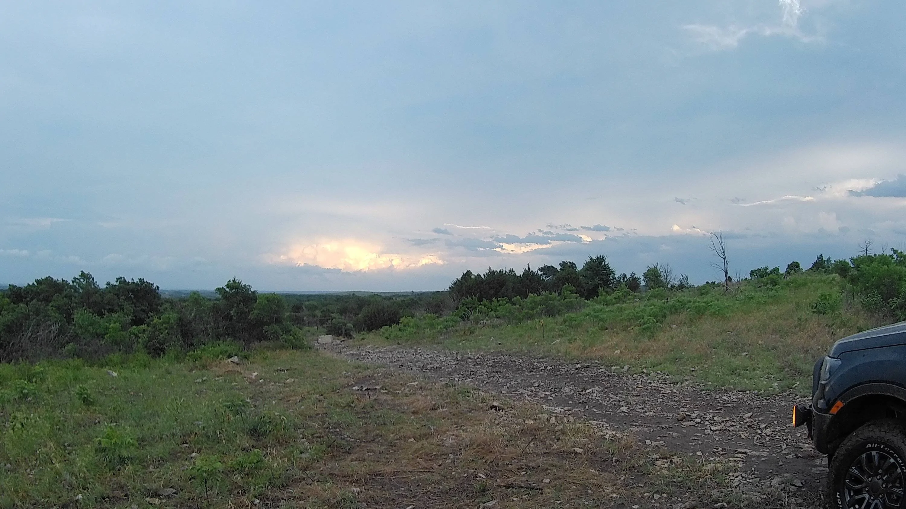 1687067847321.webp
