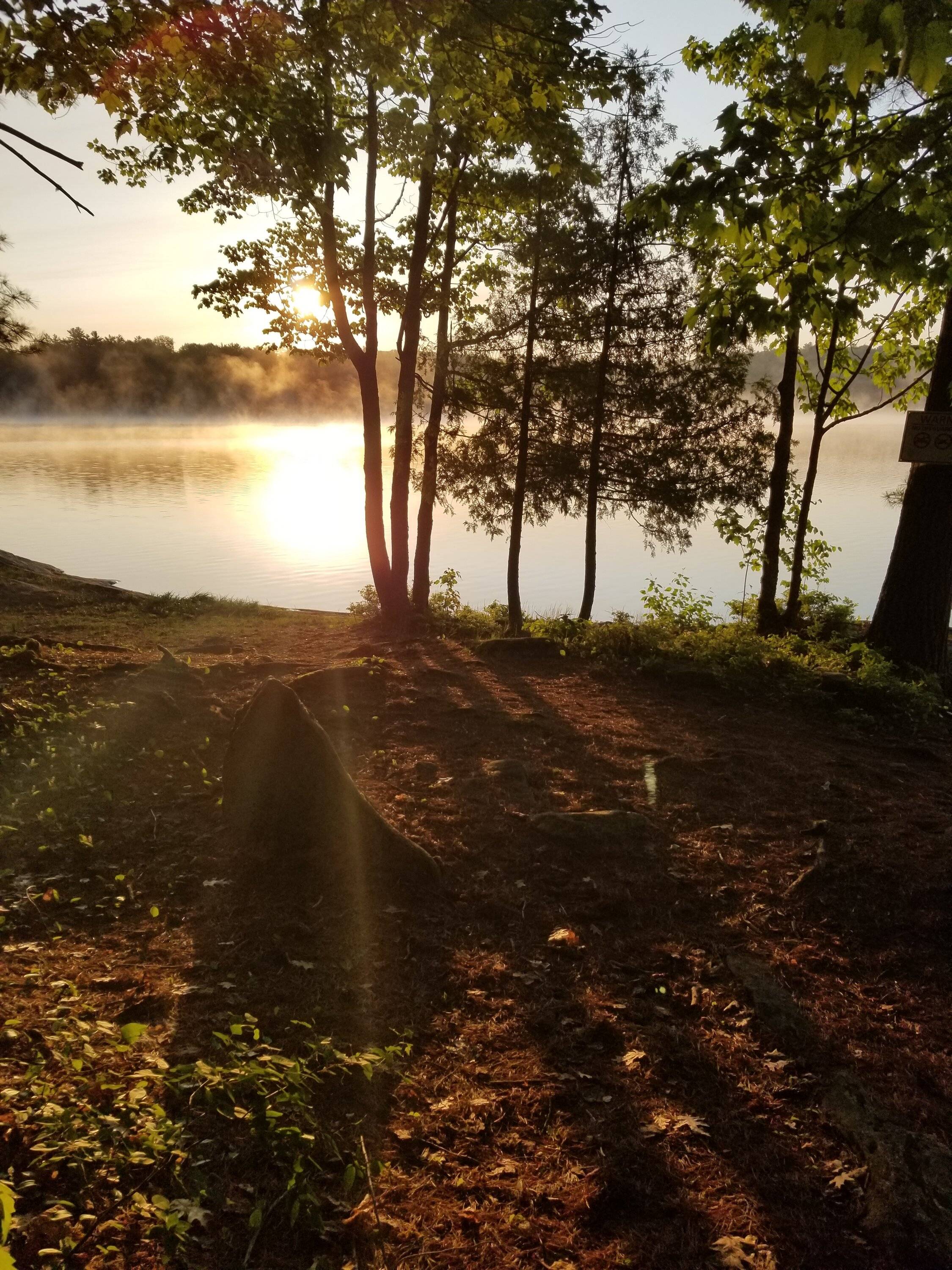 20230604_061116.jpg
