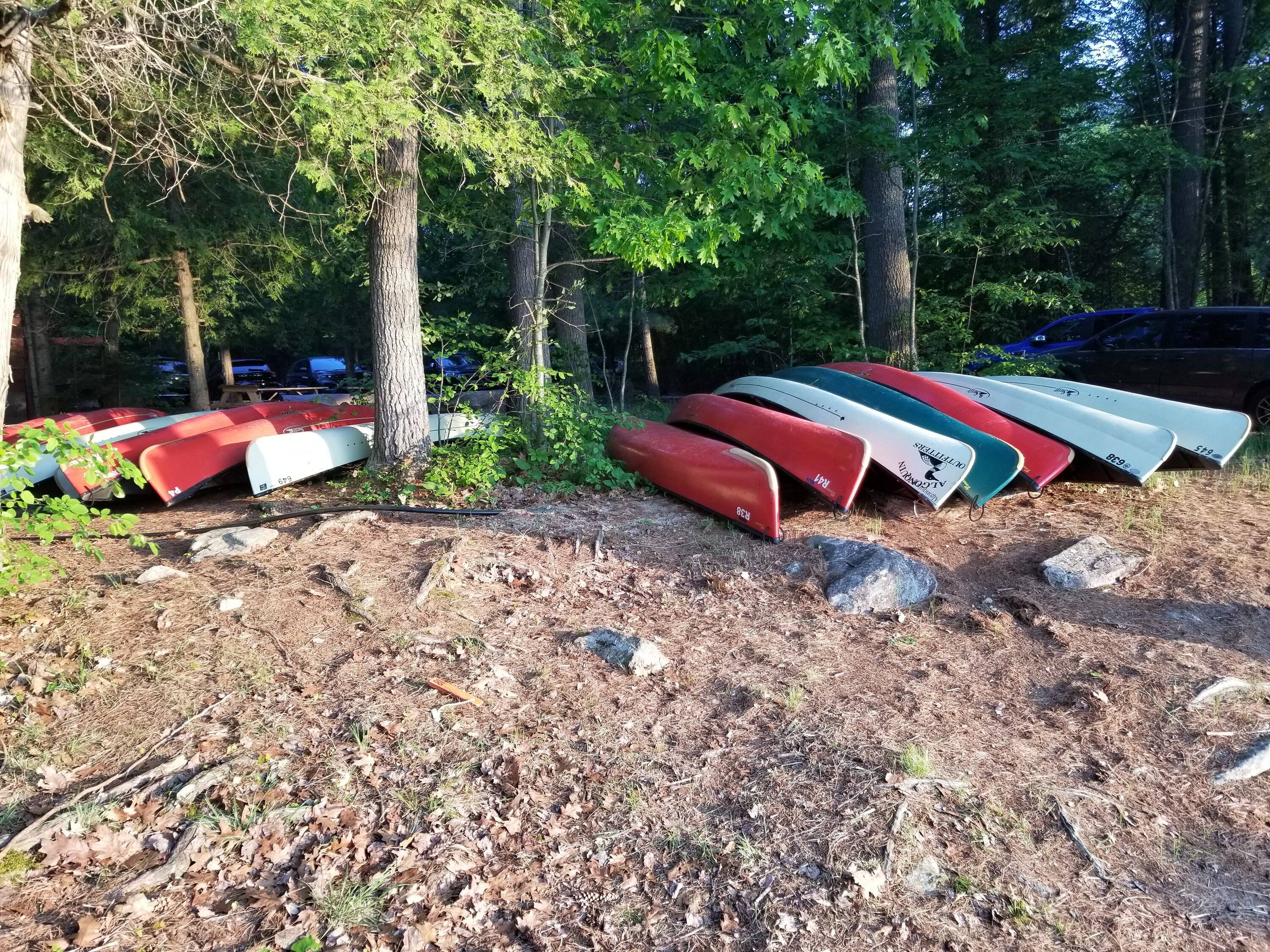 20230604_061143.jpg