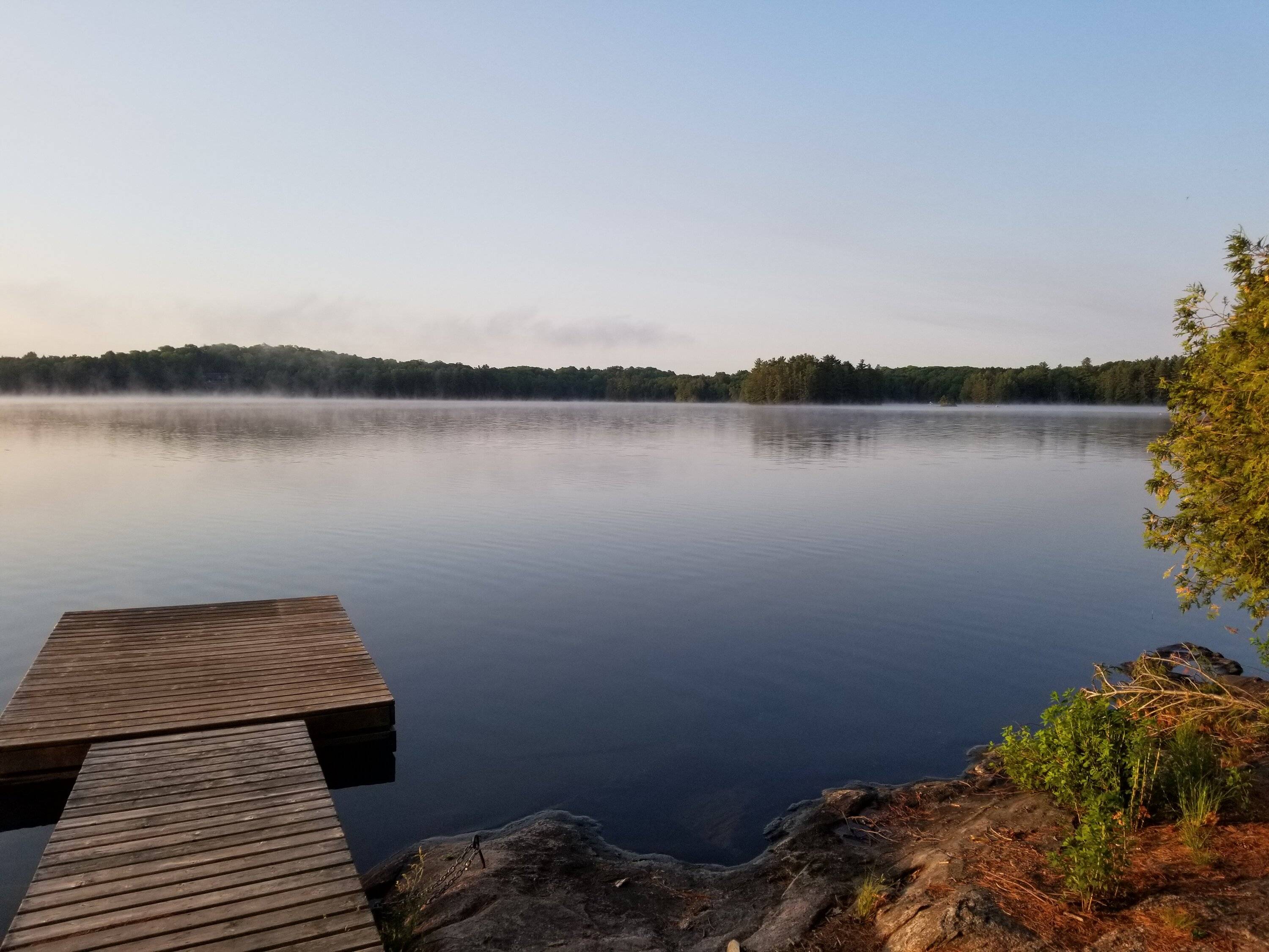 20230604_061213.jpg