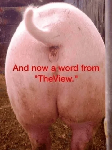 The View.png