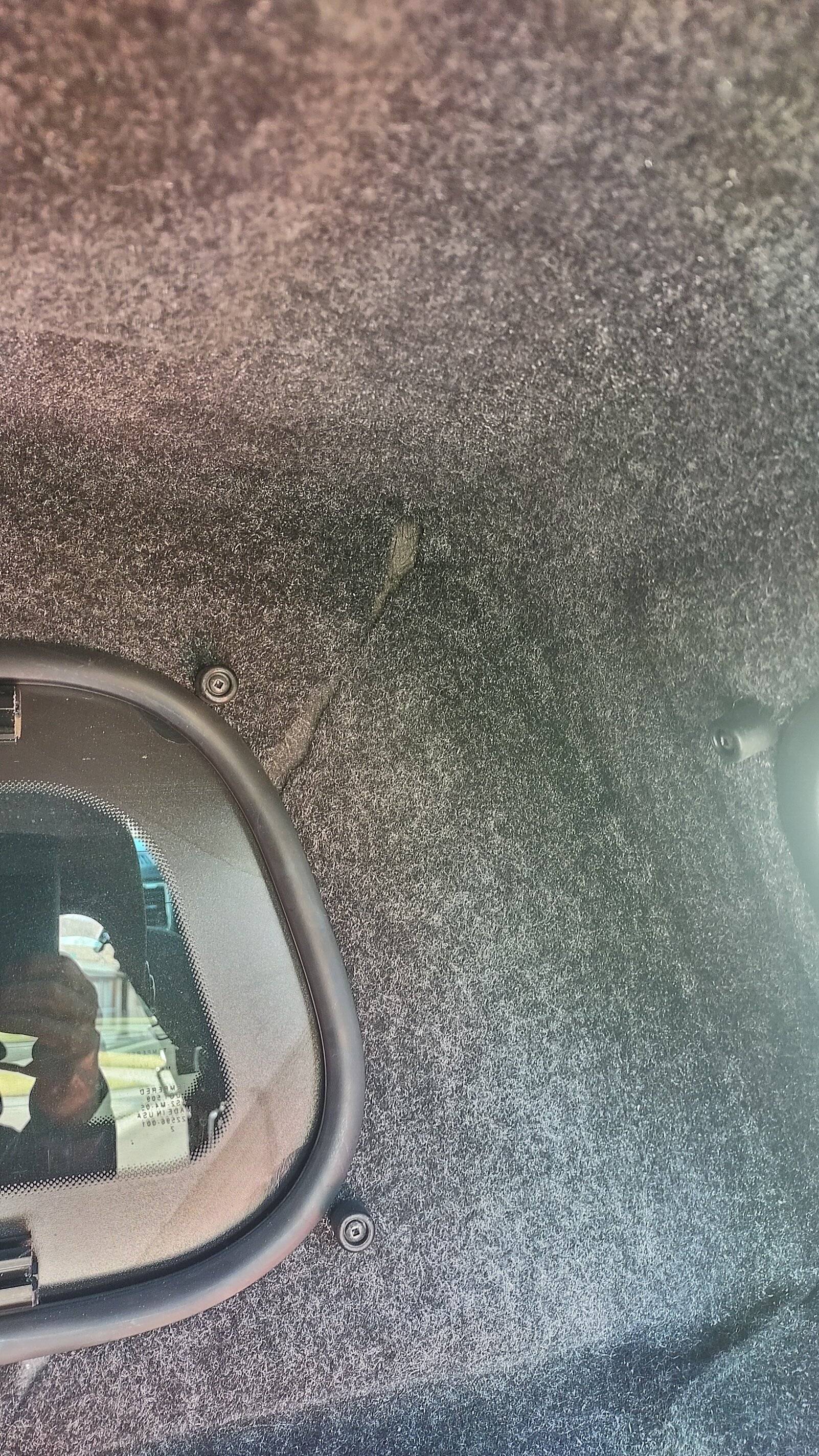 20230325_163442_HDR.jpg