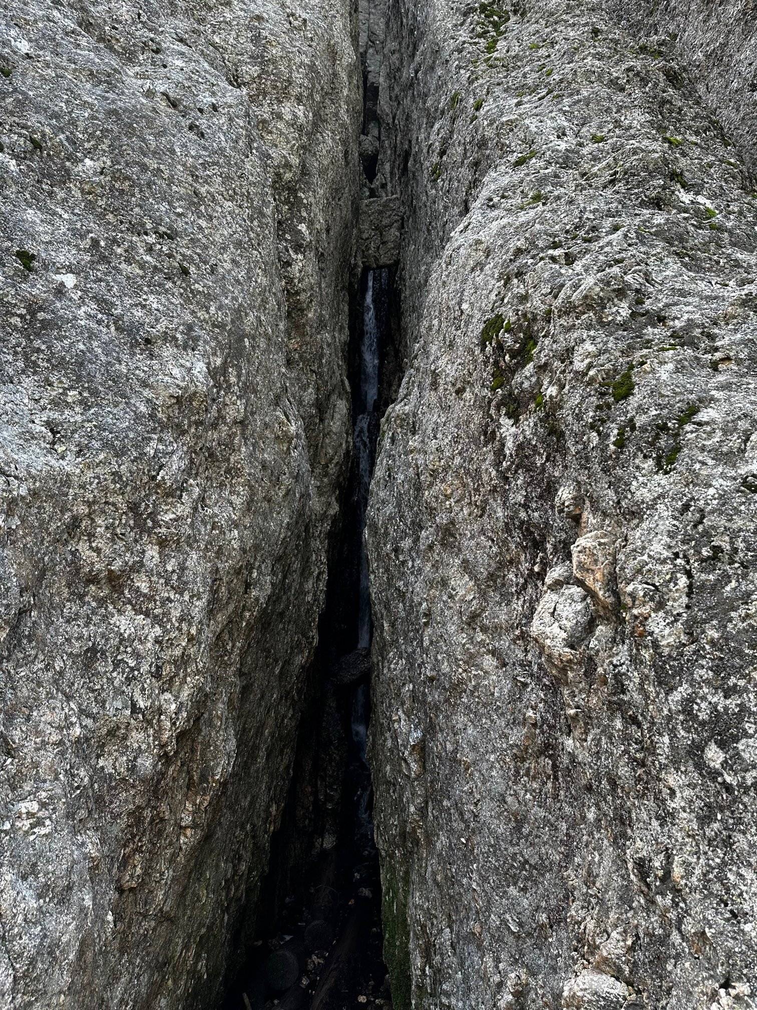 IMG_0224.jpg