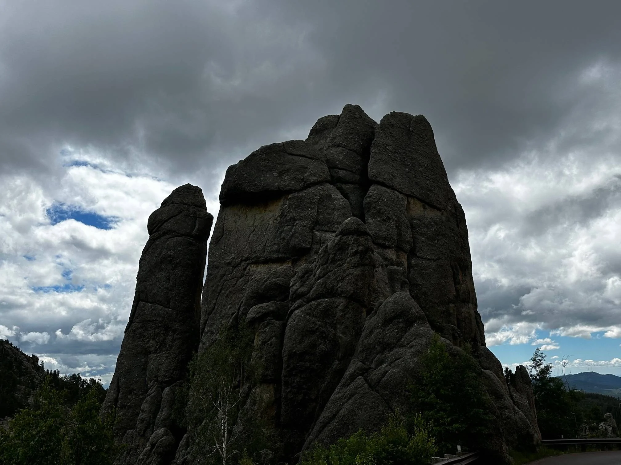 IMG_0242-1.webp