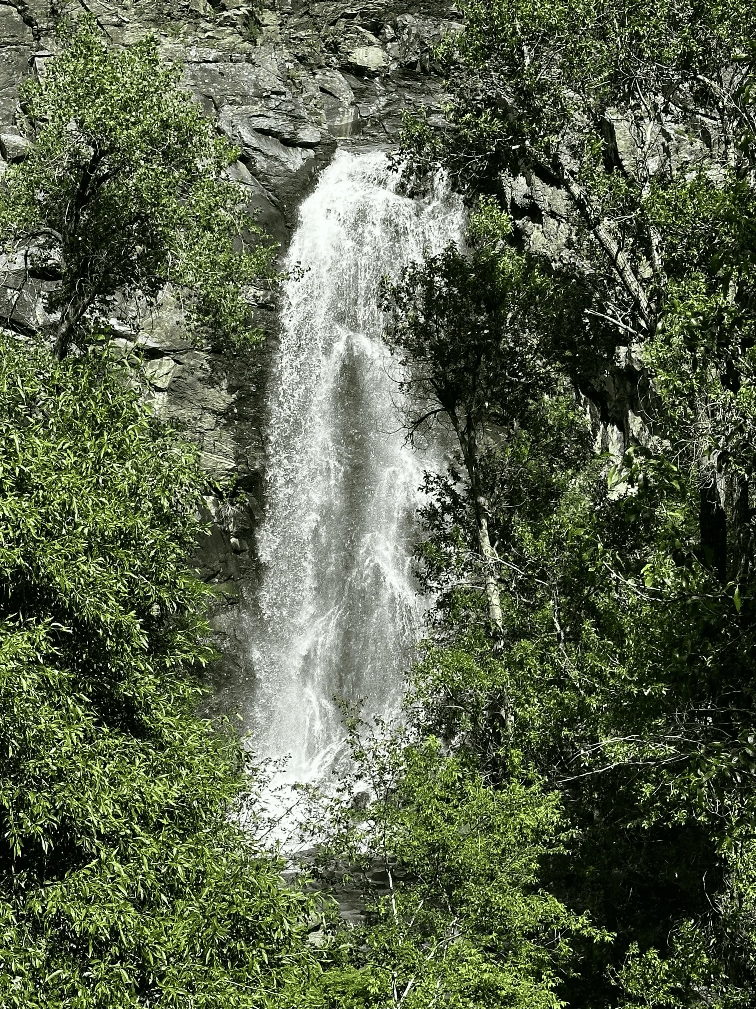 1687786090819.webp
