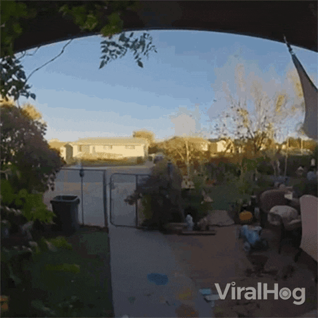 1687798345848.gif