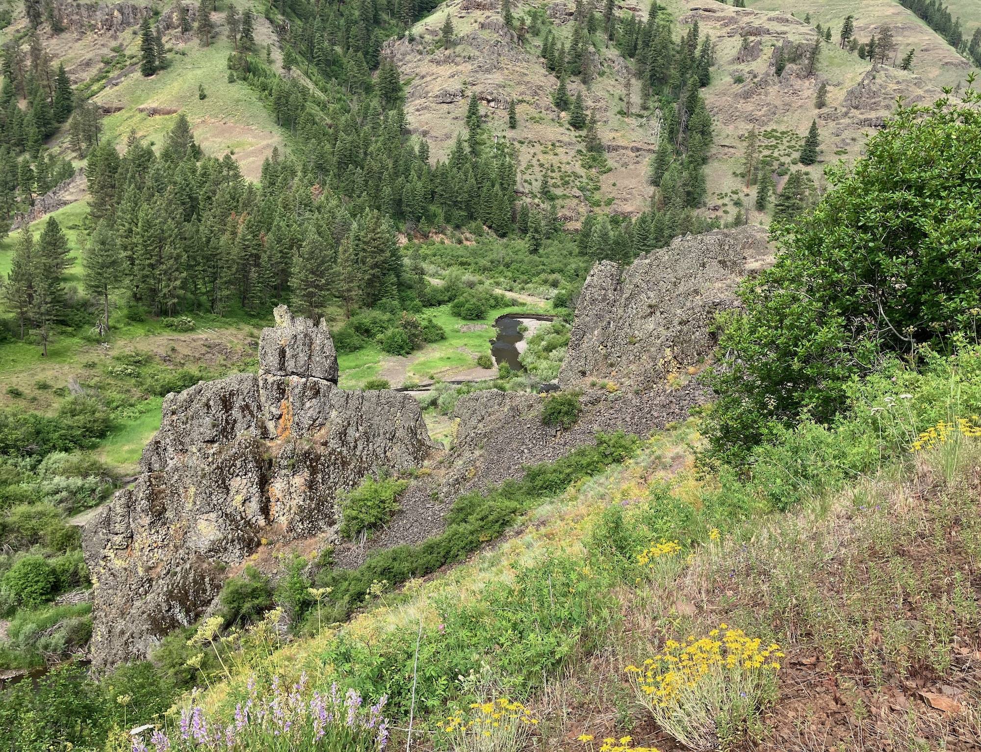 IMG_0022.jpeg