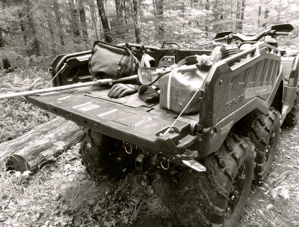 6x6173.jpg