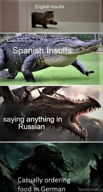 Insult.jpg
