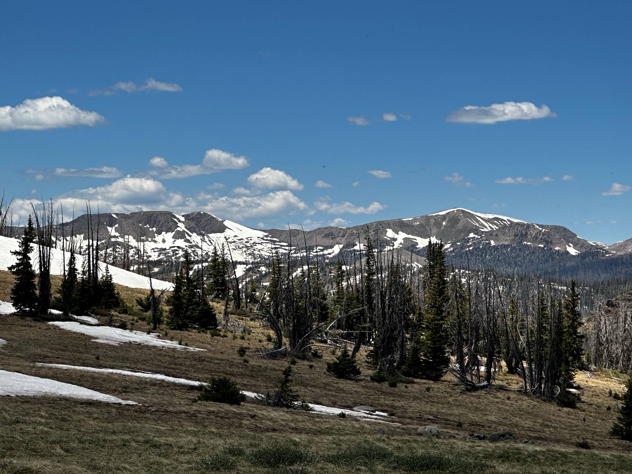 IMG_0733.jpg