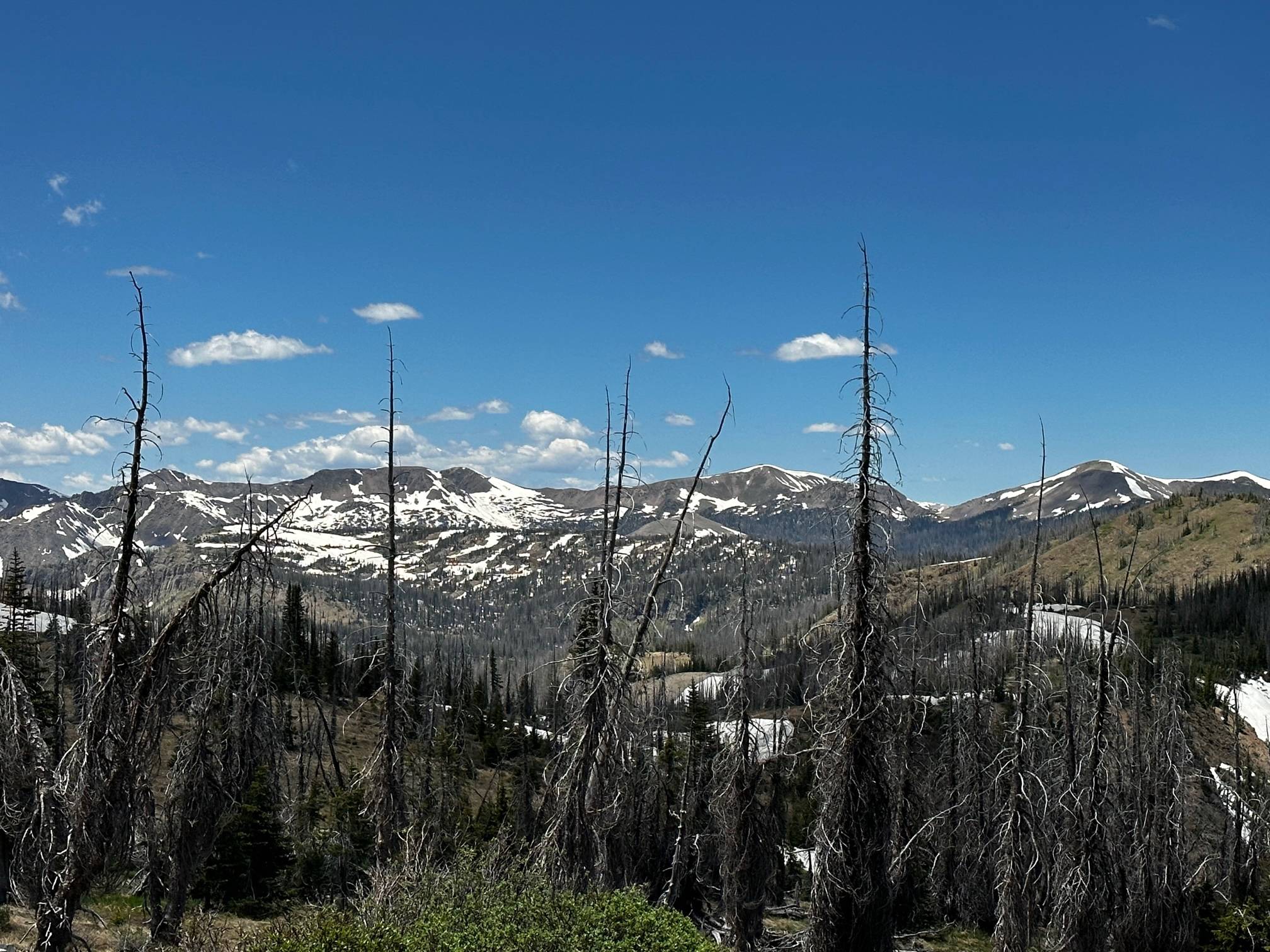 IMG_0734.jpg