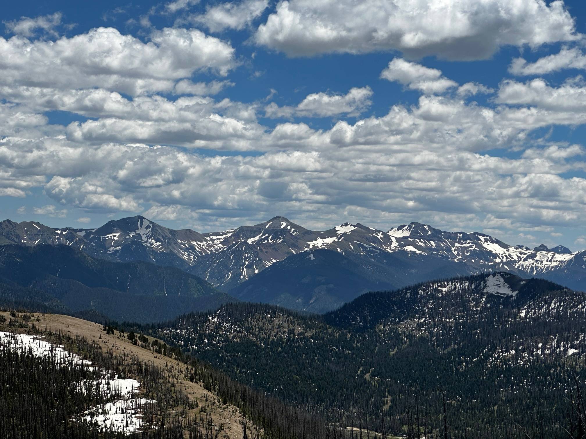 IMG_0738.jpg