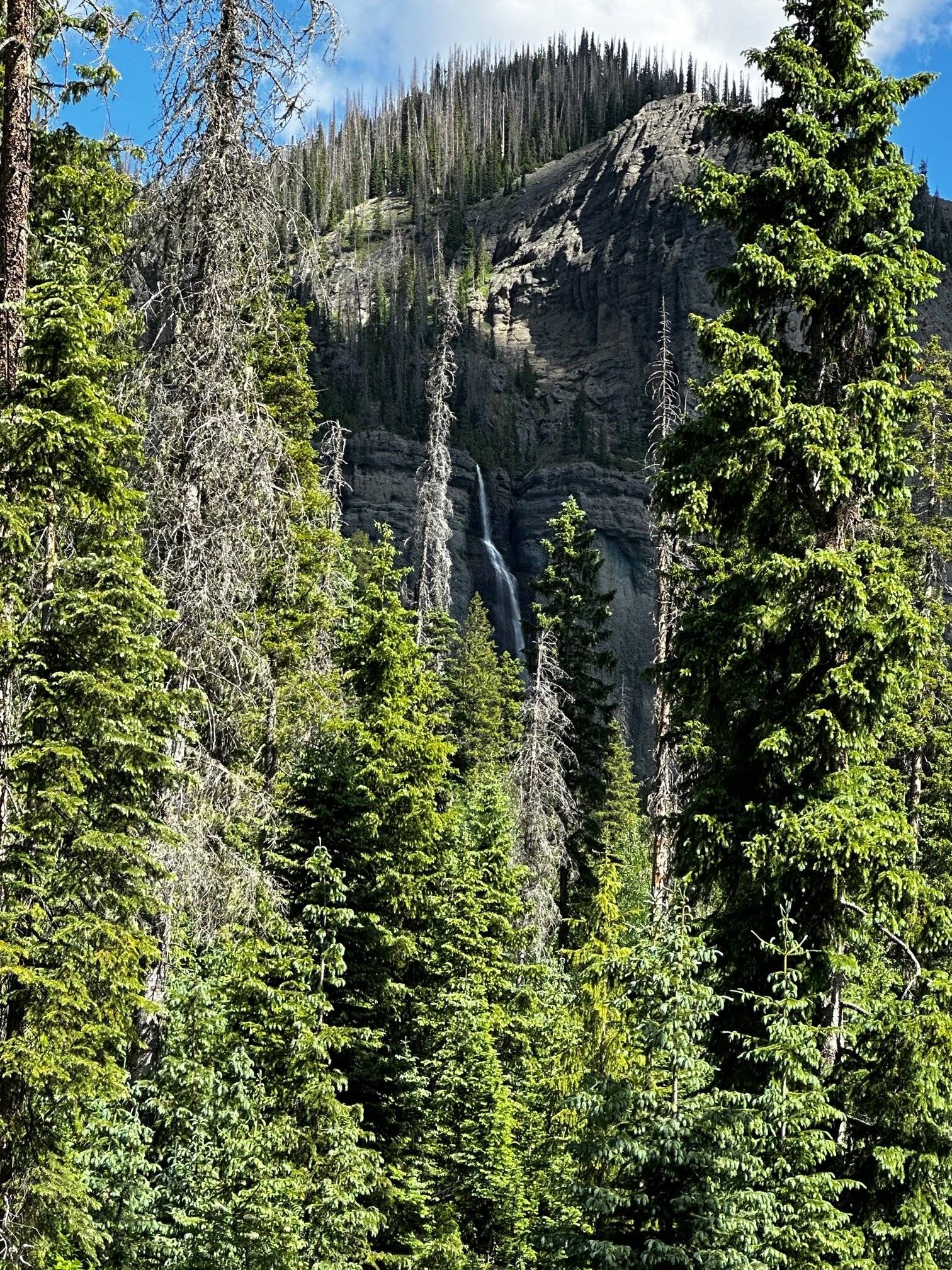 IMG_0769.jpg