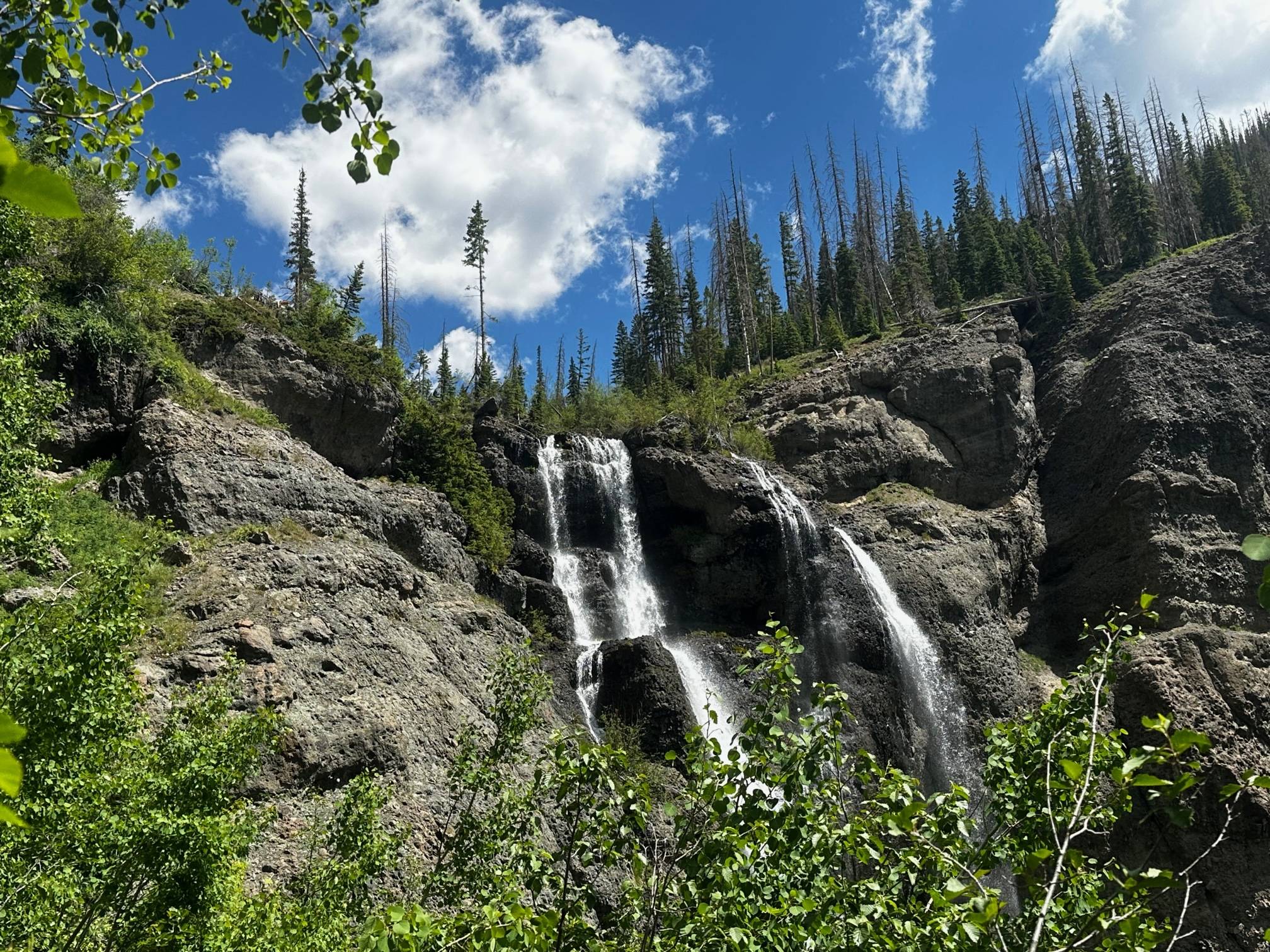 IMG_0787.jpg