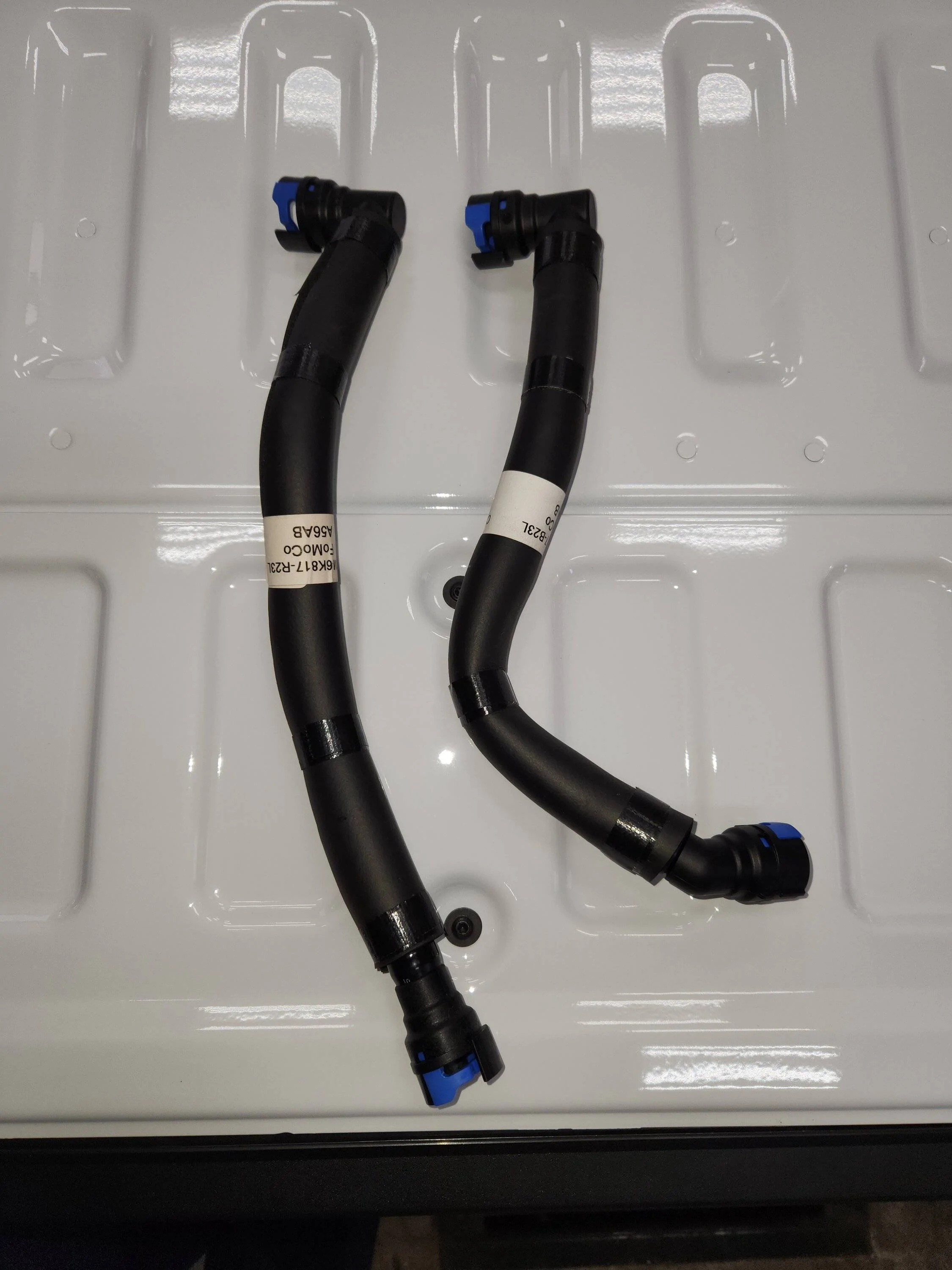 hoses.jpg