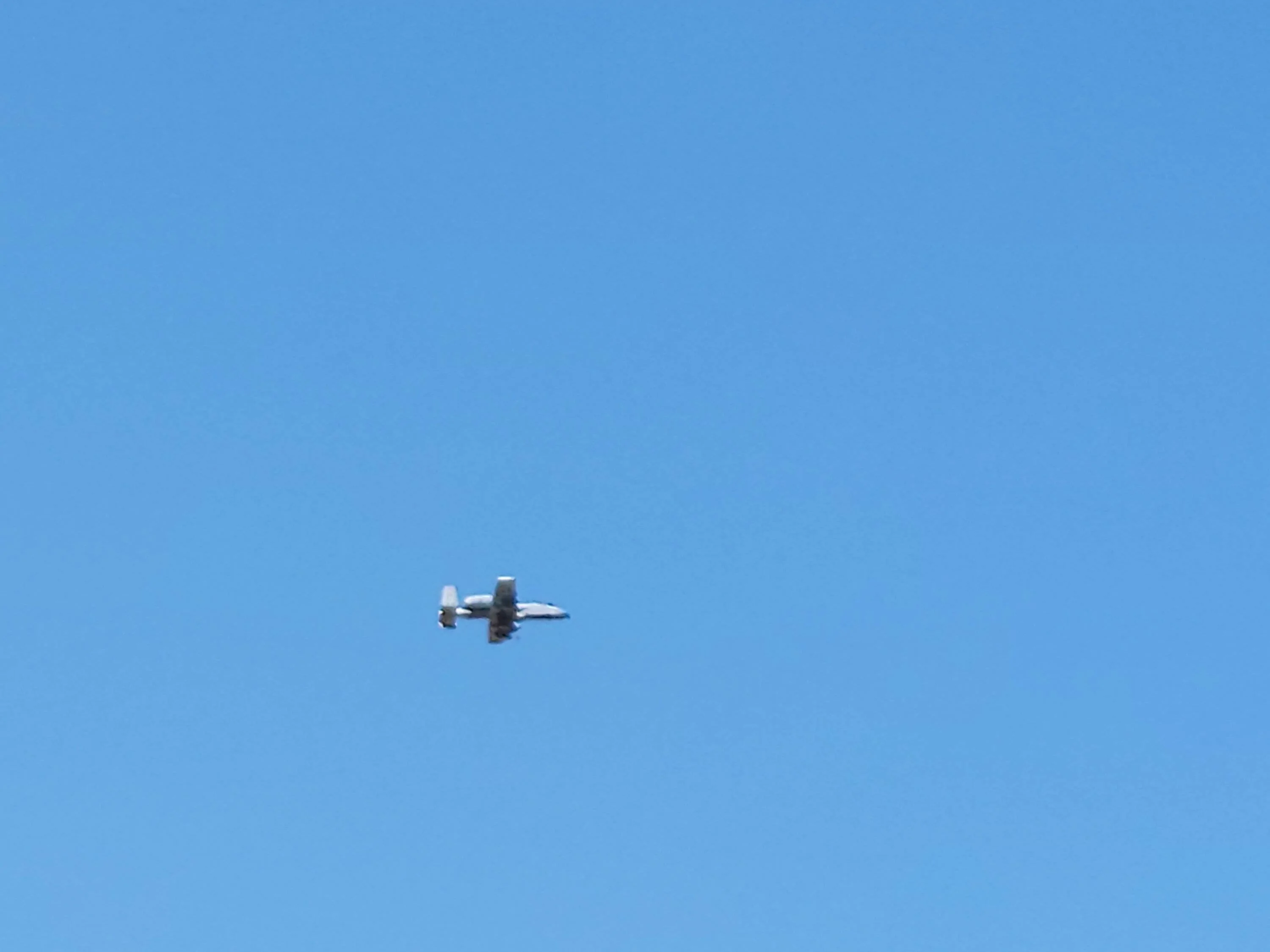 A10.jpg