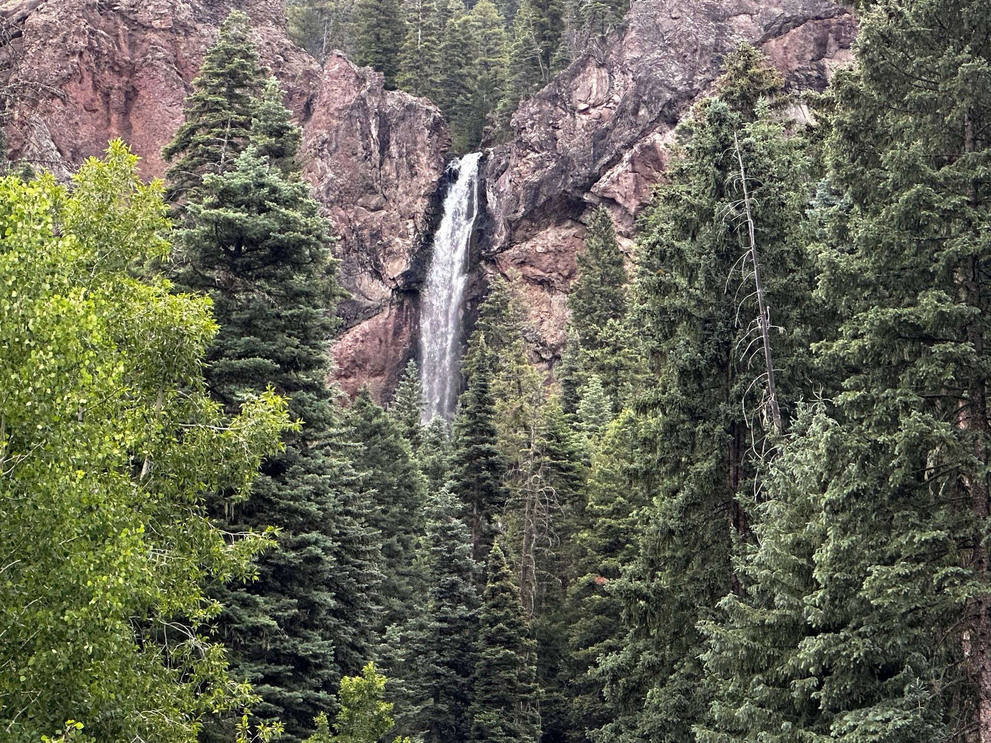 IMG_0908.jpg